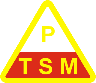 Logo PTSM